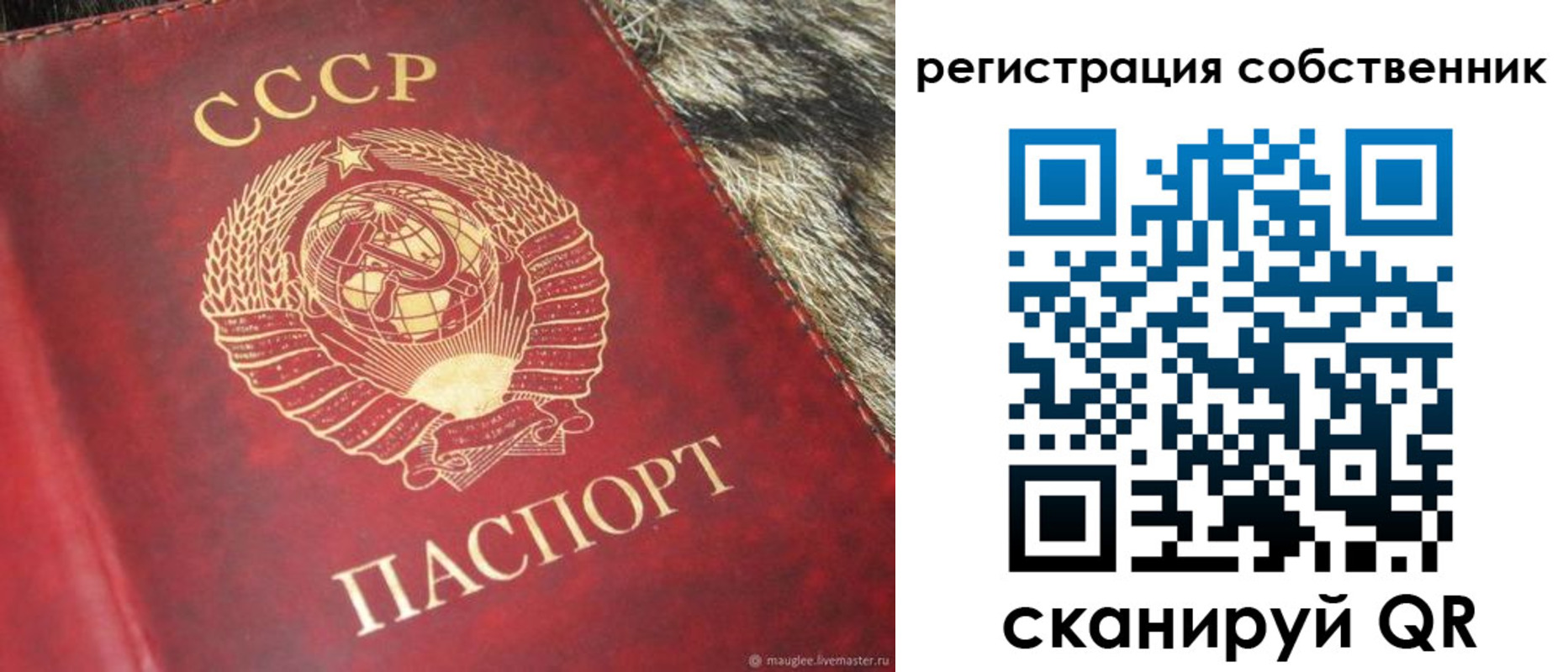 временная регистрация надежно в Мамадыше